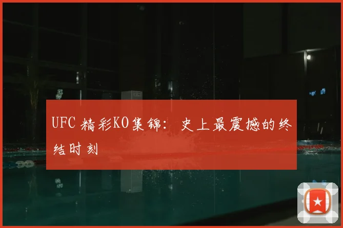 UFC 精彩KO集锦：史上最震撼的终结时刻